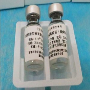 China registra sua primeira patente de vacina 2020 completo