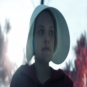 A Maravilhosa Fotografia de O Conto da Aia