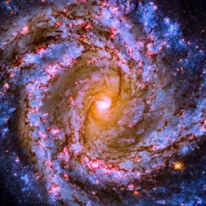 Hubble capta o coração luminoso da galáxia M61