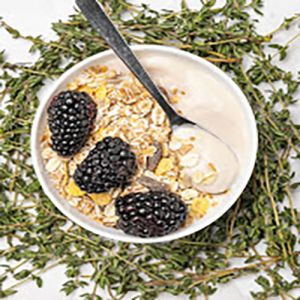 Amora, a fruta que muitas pessoas amam: curiosidades e como cultivar