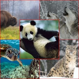 Extinção: O Mundo em Perigo ZONA 1