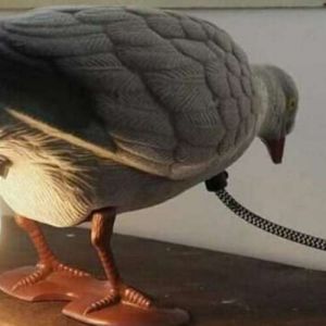 Que Pokémon é esse?