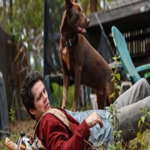 Sessão pipoca: Amor e Monstros