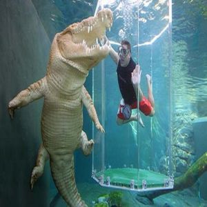 A gaiola dos crocodilos na Austrália
