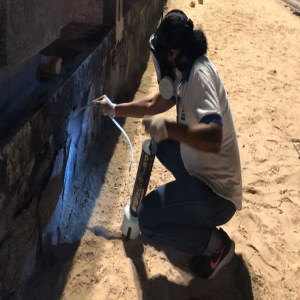 Desratização na orla