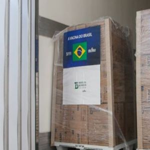 Atualmente Butantan paralisa produção da Coronavac