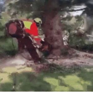 Antes de descobrir a gravidade