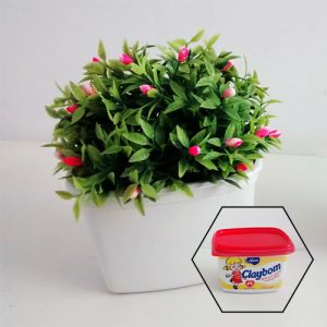 Vaso de planta ecológico, como e o que fazer com os potes usados