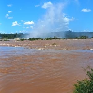 As visões de Daniel – a 1ª visão