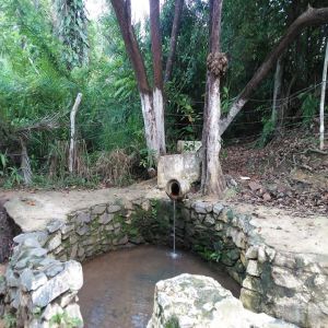 Bica do Forte Orange