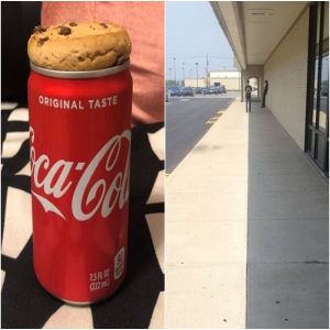 18 Fotos que provam que nosso mundo ainda pode ser perfeito às vezes