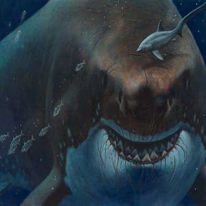 Teoria afirma que Megalodon ainda existe