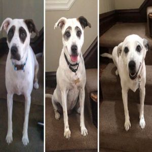 Imagens mostram como o tempo afeta as coisas #4