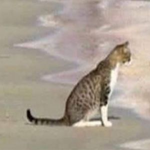 Será que essa vida vale a pena?