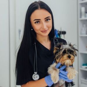 10 Profissões para Quem Ama Trabalhar com Animais