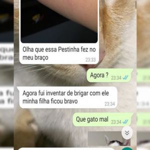 História da minha mãe e o meu gato
