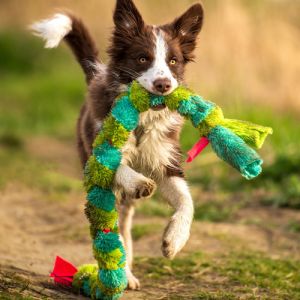 10 Brinquedos para Cachorro que Ficam Sozinhos: Diversão Garantida e Ansiedade Reduzida