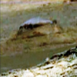 NASA possui fotos de estrutura misteriosa em Marte