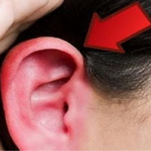 Qual é o Significado da Orelha Vermelha e Quente ?