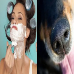 Coisas que você acreditava que eram verdade, mas não são