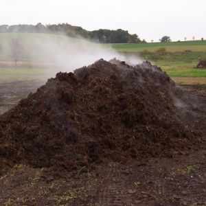 Vantagens de Fazer Compostagem no Meio Rural
