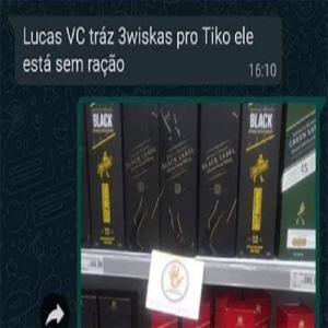 O caso do gato que quase teve uma nova experiência na vida