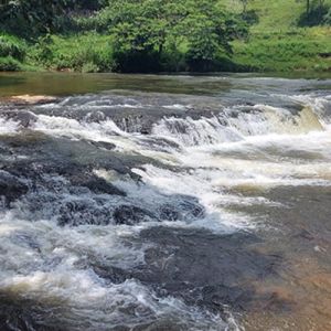 Imagens e sons da natureza, com música calma para quem precisa de paz e inspiração