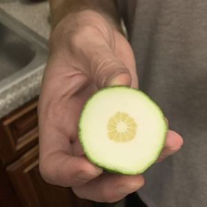 15 Pessoas que não esperavam surpresas, mas a vida tinha outros planos