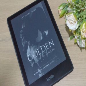 Resenha literária: Bound To Burn