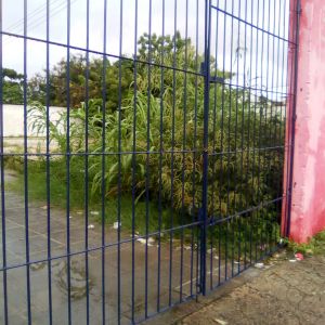 Entrada de escola tomada pelo mato