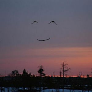 Choro e alegria - 2ª parte