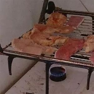 Quem não tem cão caça com gato