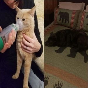 17 Fotos que nos fizeram pensar que estávamos sonhando