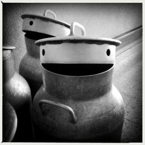 Veja alguns rostos que resolveram aparecer em lugares estranhos #4