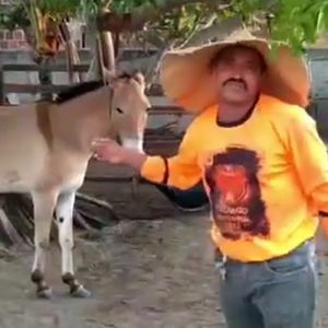 Isaura agora é dona de sua própria vida