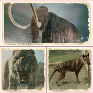 Da extinção, de volta a vida!