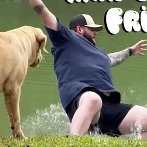 As melhores fails de cães: Momentos hilários de Donos vs. Pets