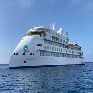 81% dos passageiros que testaram positivo em cruzeiro não apresentaram sintomas