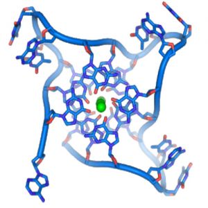 DNA de 4 fitas, é possível?
