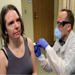 Em seis meses de busca por uma solução