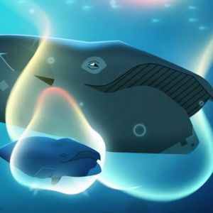 As consequências das ações humanas no Ártico