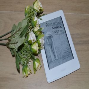 Resenha literária: Desastres Sexuais: Férias!