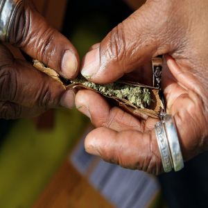 Você sabe porque a maconha é criminalizada? Uma lei racista contra negros escravizados está por trás disso!