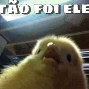  Obrigado, Padre Marcelo Rossi!