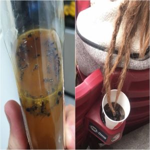 15 pessoas cuja sorte acabou