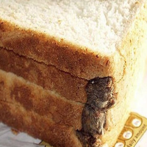 7 das coisas mais nojentas já encontradas em comidas