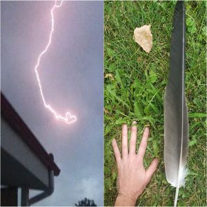 15 Fotos que encheram seus olhos com as maravilhas do nosso mundo