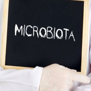 Microbiota: o nome da nossa flora intestinal