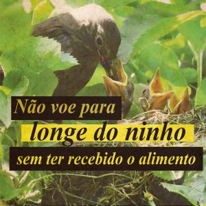 A pureza de intenção brota do interior e nos liberta das más intenções