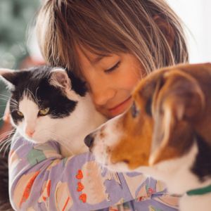 Animais Sencientes: Você Sabe o Que Isso Significa? Descubra Agora!